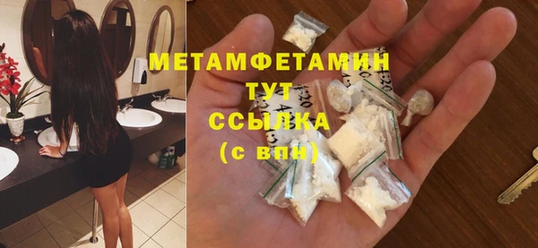ПСИЛОЦИБИНОВЫЕ ГРИБЫ Вяземский