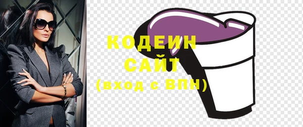 ПСИЛОЦИБИНОВЫЕ ГРИБЫ Вяземский
