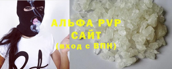 ПСИЛОЦИБИНОВЫЕ ГРИБЫ Вяземский