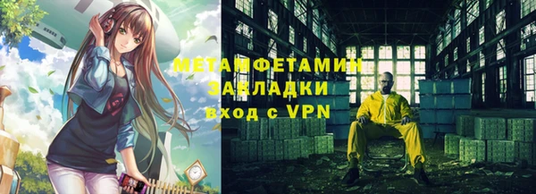 ПСИЛОЦИБИНОВЫЕ ГРИБЫ Вяземский
