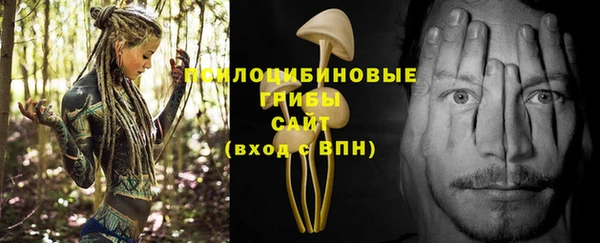 ECSTASY Волосово