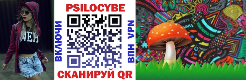 Купить где  Томари  Галлюциногенные грибы Psilocybine cubensis 